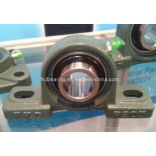 Pillow Block Bearing Unit Ucp205